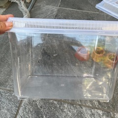 カブトムシ　飼育ケースの画像