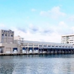 漁協職員　魚市場作業員の画像