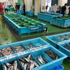 漁協職員　魚市場作業員の画像