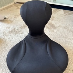 ラボネッツLabonetz 骨盤座椅子 凛座 リンザ