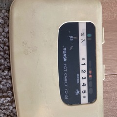 YUASAホットカーペット１畳の画像