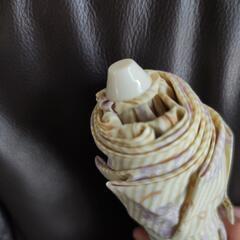 婦人用折りたたみ傘の画像