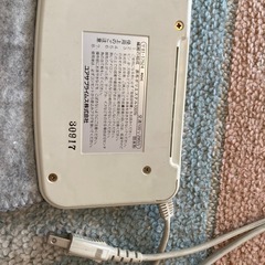 YUASAホットカーペット１畳の画像
