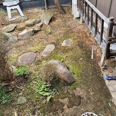庭石引き取ります