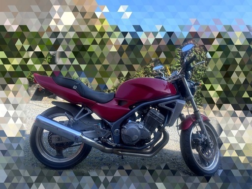 バリオス1型 不動 書類有