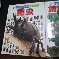 小学館 飼育と観察 昆虫 図鑑 セット