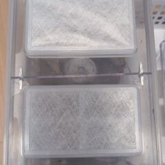オオクワガタ　ペア　ケース、ゼリー付きの画像