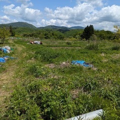 末町近くで畑に興味のある方