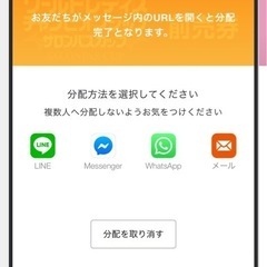 サロンパスカップ2025　チケットの画像