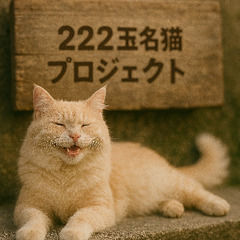 保護猫の病院、送迎手伝える方いませんか？☺️