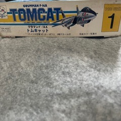 レアもの　F-14TOMCAT 可変翼の画像