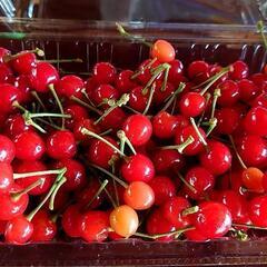 さくらんぼ🍒の画像