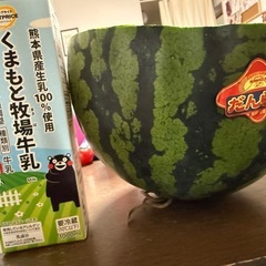 熊本スイカだんらん　半分の画像
