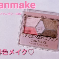 廃盤品CANMAKE ガト－フランボワーズ07