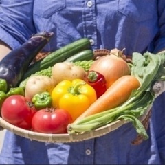 短時間で稼げる野菜のピック作業
