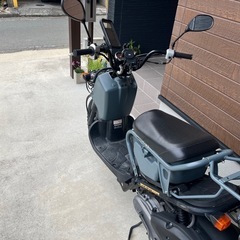 ホンダズーマー
の画像