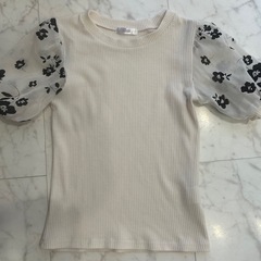 Enamor エナモル　しまむら　半袖　シャツ　M