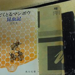 文庫本7冊 どくとるマンボウ昆虫記・青衣の人・人間失格・青春の門・復活の日・五番町夕霧楼 ・天国にいちばん近い島 送料込みの画像