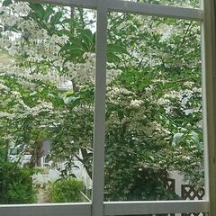 茅ヶ崎ー完全個別英語塾---タンデムの画像