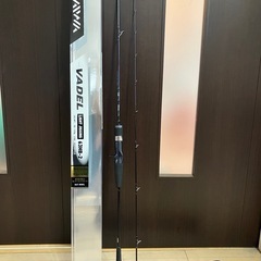 ダイワ VAEDL ヴァデル LJ 63HB-2の画像