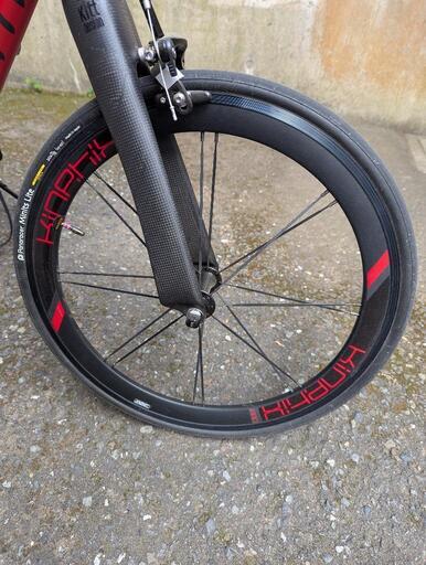 ★９月末まで値下げTern Surge PRO サージュプロ 2024年 レッド 2024 tern (ターン) SURGE PRO-2 TONE (サージュ プロ-2 トーン