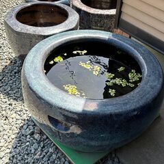 ②火鉢　メダカ鉢　超特大の画像