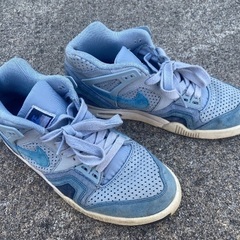 ナイキ　エアテックチャレンジの画像