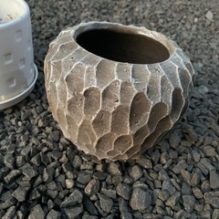 鉢植え　　4個セットの画像