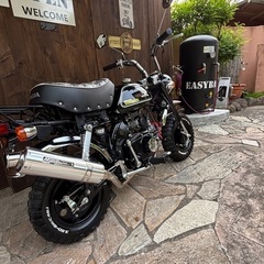 ホンダモンキー FI タケガワ88cc 美車 絶好調　キック１発 貴重な原付50FI　の画像