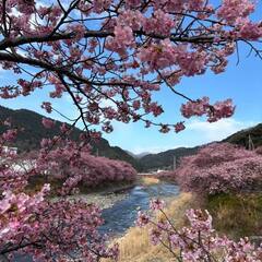 こんにちは、はじめまして、よろしくお願いします