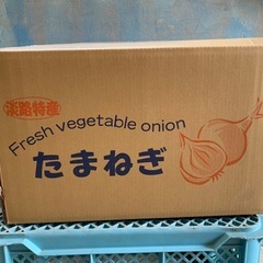 淡路島産 新玉ねぎ S～2S 規格外 20kg 小玉 玉ねぎ 早生七宝 南あわじ市まで取りに来られる方限定の画像
