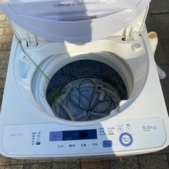 洗濯機2017の画像