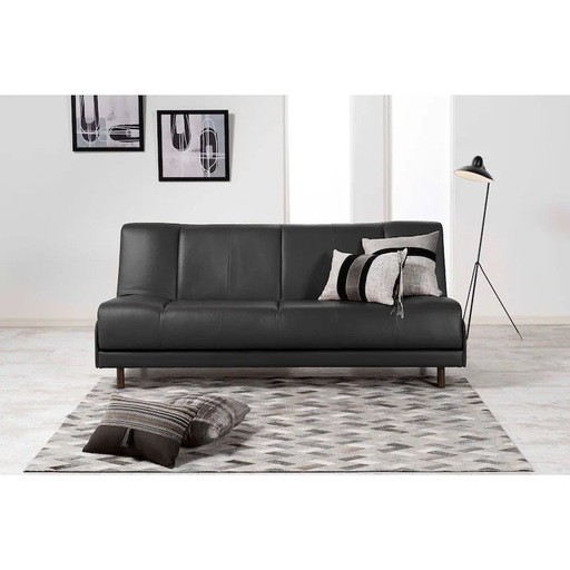 ショップ フランスソファーベット 本革 本革クッション付 フランス