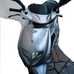 快速 PGO T-REX125 機関好調 4stで燃費良く、早いです！