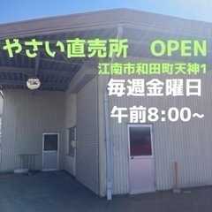 【やさい直売所】5月9日(金)、朝8時から営業❗️(雨天決行)