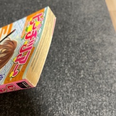 ピーチツアー　（完結）の画像