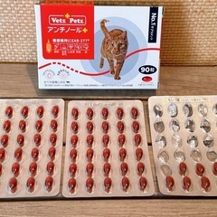 アンチノールプラス 猫用 90粒（残り69粒）の画像