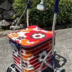 新品未使用カートの画像