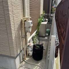 【家庭菜園の施工・相談希望】アドバイスまたはおまかせで検討中｜足...