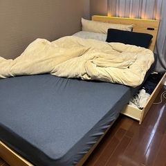 5/9(金)18:00-20:00引き取り可能な方のみの画像