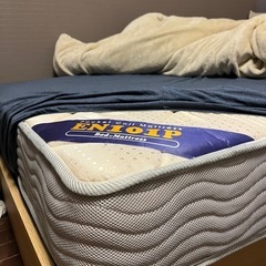 5/9(金)18:00-20:00引き取り可能な方のみの画像