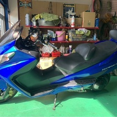 スカイウェブタイプSの画像