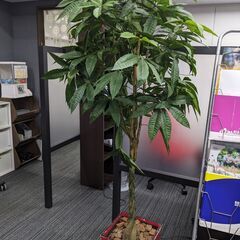 【横浜引取限定】大きな観葉植物の造花