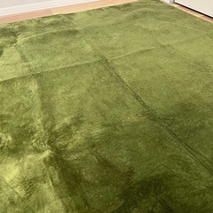 ①カーペット183×175の画像