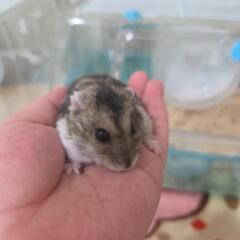 譲渡先が決まりました◎