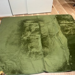 ②カーペット、225×188