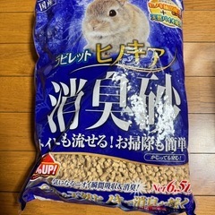 写真用の画像