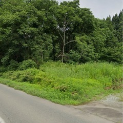 舞茸栽培　田んぼ　山林　貸します　川西町玉庭