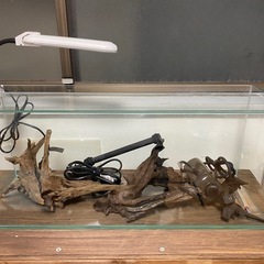 GEXオールガラス水槽セット🐠美品です。