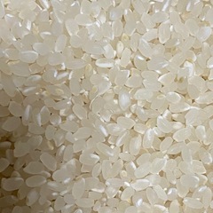 令和6年度山鹿産ひのひかり　玄米10kgの画像